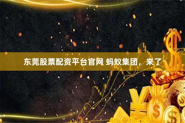东莞股票配资平台官网 蚂蚁集团，来了
