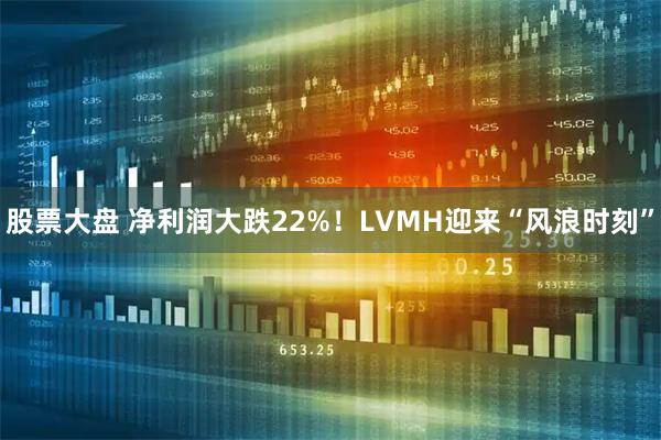 股票大盘 净利润大跌22%！LVMH迎来“风浪时刻”