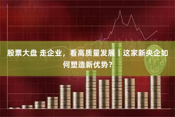 股票大盘 走企业，看高质量发展丨这家新央企如何塑造新优势？