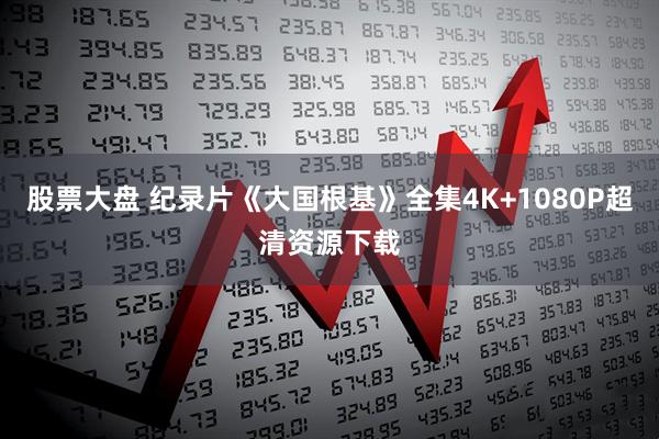 股票大盘 纪录片《大国根基》全集4K+1080P超清资源下载
