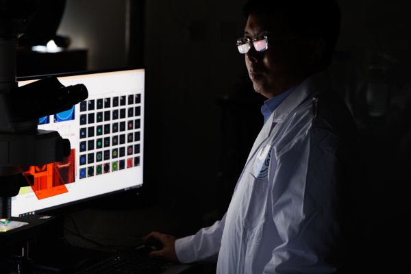 配资一流股票配资门户 镜观中国·新华社国内新闻照片一周精选丨光学超材料也能“印”出来？中国科学家开创规模化制备新范式